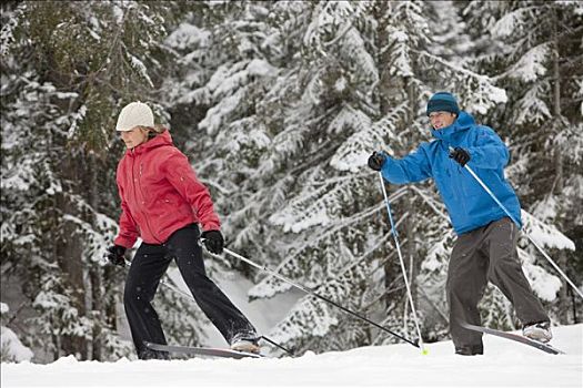 伴侣,越野滑雪,不列颠哥伦比亚省,加拿大