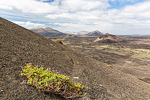 火山地貌,蒙大拿,背景,兰索罗特岛,加纳利群岛,西班牙