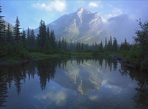 山,风景,亮光,薄雾,卡纳纳斯基斯县,艾伯塔省,加拿大