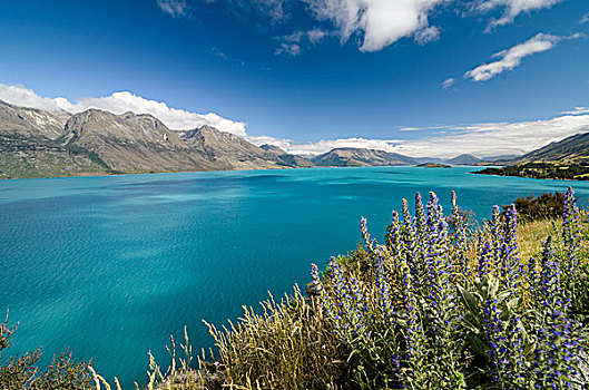 青绿色,湖,瓦卡蒂普湖,奥塔哥,山,后面,靠近,皇后镇,南方,省,新西兰,大洋洲