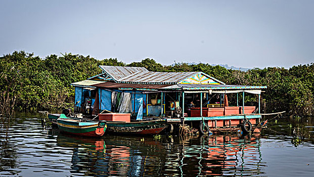柬埔寨,湖,树液,漂浮,房子