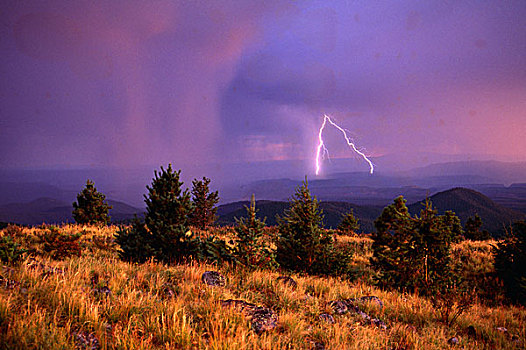 闪电,风暴,山峦,新墨西哥,美国