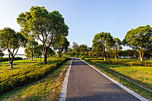 道路