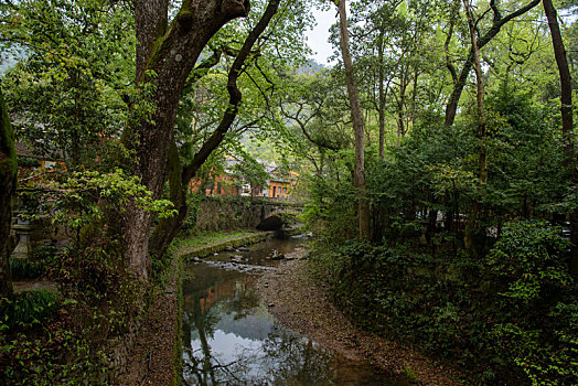 浙江天台山国清寺