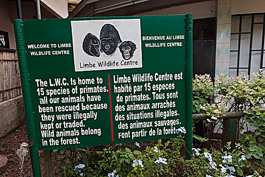非洲,喀麦隆,信息,标识,野生动物,中心