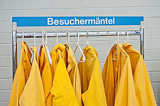 黄色,外套,衣架,德国,欧洲