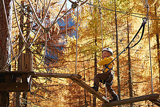 男孩,攀登,树林,联结,高,线条,绳索