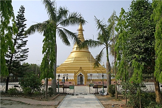 缅甸,庙宇,蓝毗尼,尼泊尔