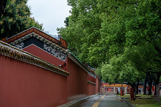 广州春雨中的广州图书馆农讲所红墙绿树大广场
