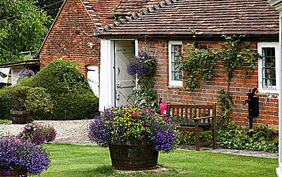 英国,郊区住宅,花园