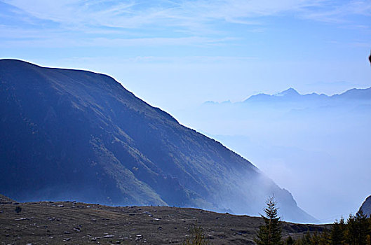 茶山