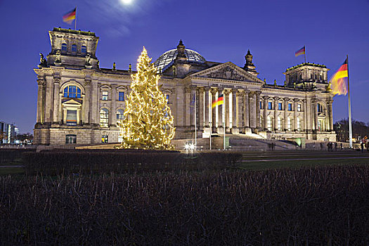 德国国会大厦,圣诞树,柏林,德国,欧洲