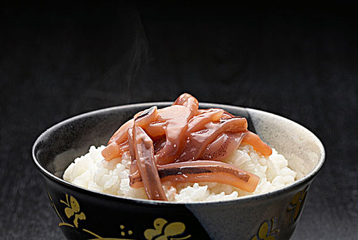 squid,rice