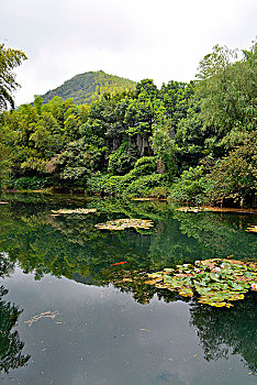 天目湖南山竹海