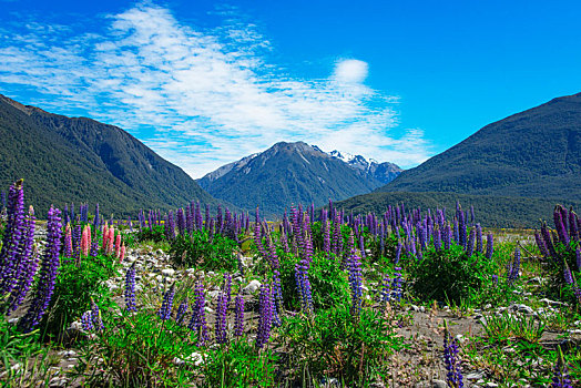 风景