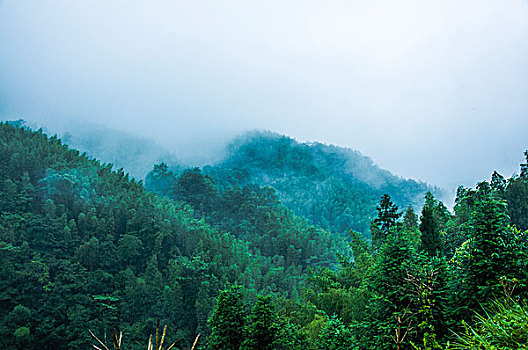 雨雾山景