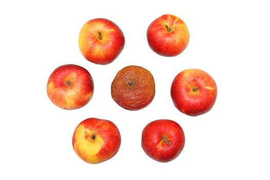 新鲜,红苹果,腐烂,苹果,隔绝,白色背景,背景