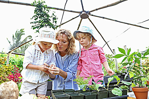 女人,两个孩子,种植,幼苗,温室