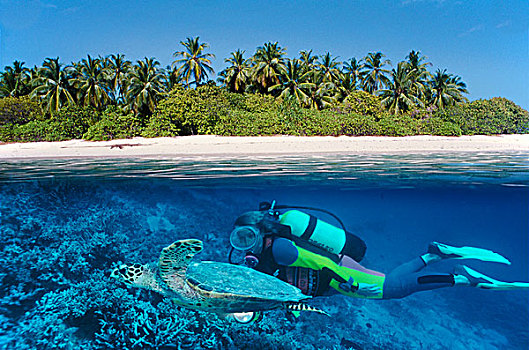 分开,图像,岛屿,水中呼吸器,潜水,傻子,海洋,海龟,马尔代夫,印度洋,亚洲