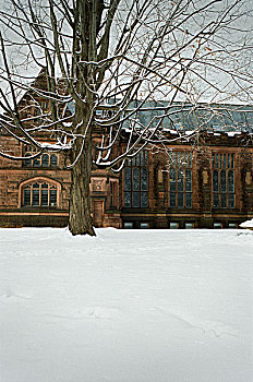 雪,大学,校园