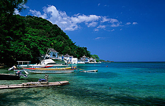 牙买加,安东尼奥港,房子,靠近,蓝色泻湖