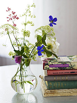 斯堪的纳维亚,瑞典,史马兰,一堆,书本,旁侧,花瓶,桌上