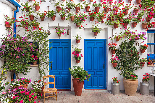 蓝色,前门,许多,红色,天竺葵,花盆,墙壁,节日,内庭,科多巴,安达卢西亚,西班牙,欧洲