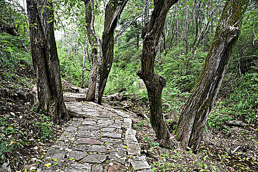 河北省石家庄市平山县驼梁风景区