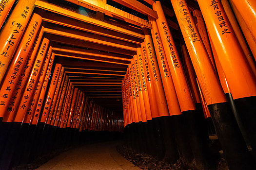 日本京都伏见稻荷大社千本鸟居夜景