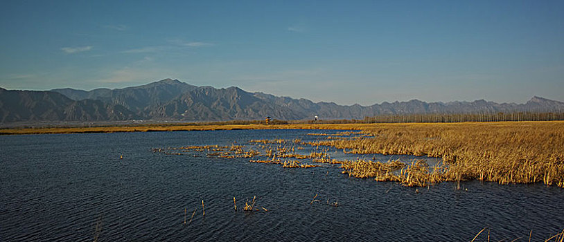 野鸭湖