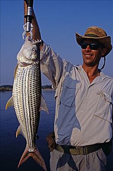 赞比亚,赞比西河下游国家公园,虎,鱼,抓住,赞比西河