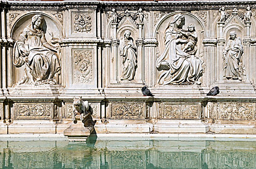 盖娅,喷泉,广场,草原,锡耶纳,世界遗产,托斯卡纳,意大利,欧洲