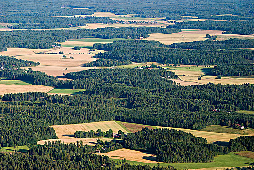 航拍,农业,风景,瑞典
