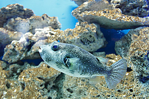 水族馆