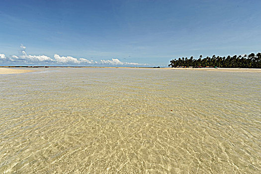 brazil,pernambuco,praia,dos,carneiros,transparent,sea,along,with,sandbank