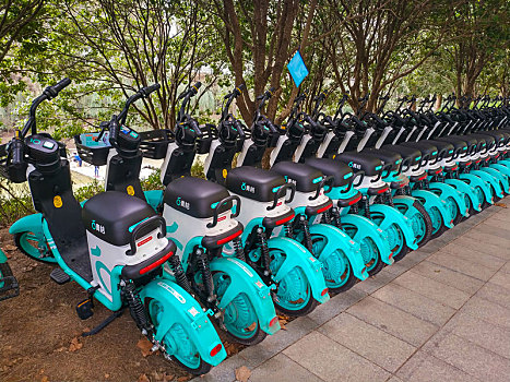 青桔电单车图片