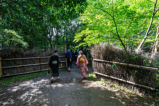 游客穿着和服游览日本京都嵯峨野岚山竹林