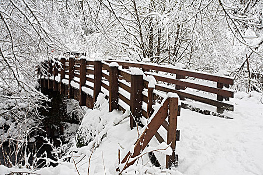 俄勒冈,美国,积雪,桥,银色瀑布州立公园