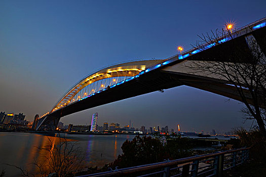 上海泸浦大桥