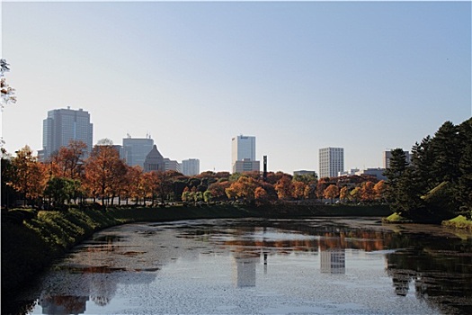 护城河,城堡,东京,日本