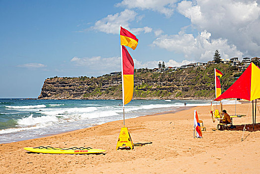冲浪,救助,救生员,海滩,悉尼