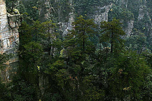 湖南张家界天子山国家森林公园