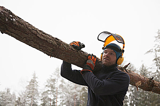 伐木工,原木,芬兰