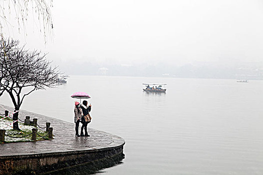 杭州,西湖,树木,树,树林,雪,水墨画,朦胧,仙境,冬天,平静,姿态,断桥,下雪