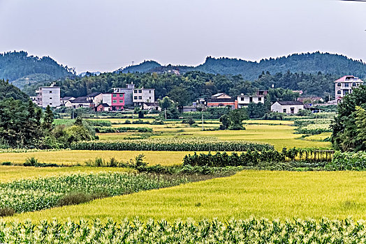 江西省景德镇市浮梁县乡村田园景观