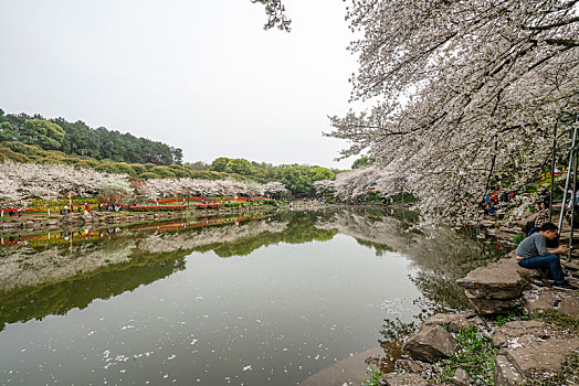 湖南省森林植物园风光美景