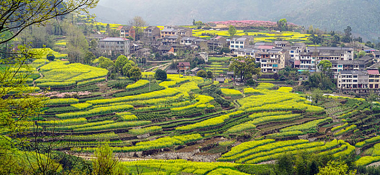 山村春色