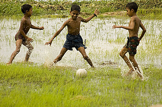 乡村,男孩,玩,沼泽,孟加拉,2007年
