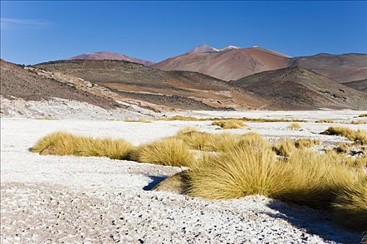 智利,安托法加斯塔大区,阿塔卡马沙漠,国家级保护区