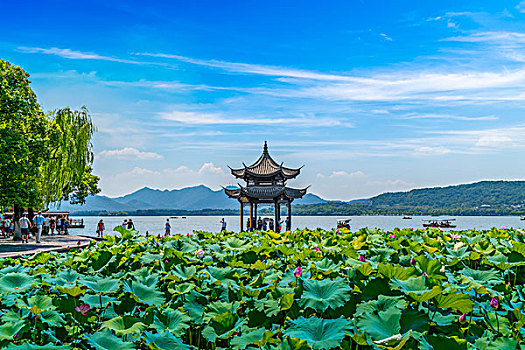 杭州西湖建筑景观和山水风景